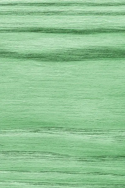 Madeira de carvalho natural branqueada e manchada amostra de textura Grunge verde pálido — Fotografia de Stock