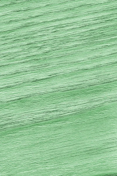 Amostra de textura de grão verde pálido branqueado e manchado de madeira de carvalho — Fotografia de Stock