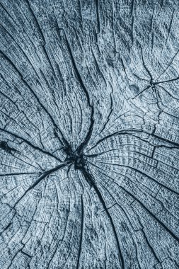 Kağıt yer Mat deniz mavi lekeli Grunge doku örneği kıvrımlı