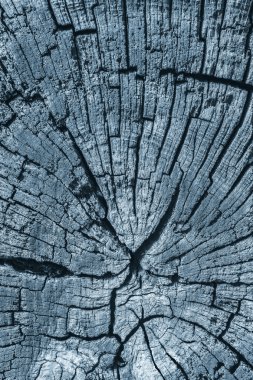 Eski mavi Grunge yüzey doku detay lekeli kırık kare ahşap baba yıpranmış