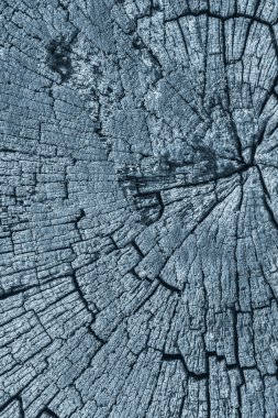 Eski mavi Grunge yüzey doku detay lekeli kırık kare ahşap baba yıpranmış