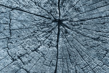 Eski mavi Grunge yüzey doku detay lekeli kırık kare ahşap baba yıpranmış