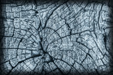 Kırık çürük ahşap mavi Vignette Grunge doku dokuma eski yıpranmış