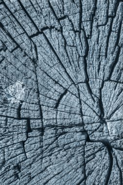 Kırık çürük ahşap mavi doku lekeli mavi eski yıpranmış