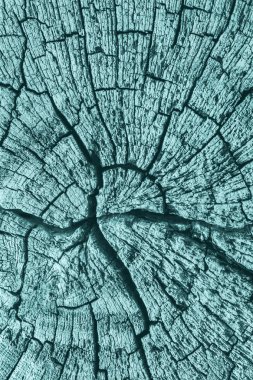 Çürümüş yıpranmış eski kırık kare ahşap baba, ağartılmış ve