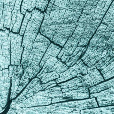 Eski ahşap baba lekeli mavi doku çürümüş kırık üst yüzey yıpranmış