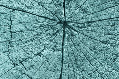 Eski ahşap baba lekeli mavi doku çürümüş kırık üst yüzey yıpranmış