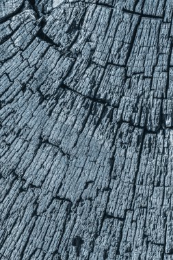 Eski ahşap baba lekeli mavi doku çürümüş kırık üst yüzey yıpranmış