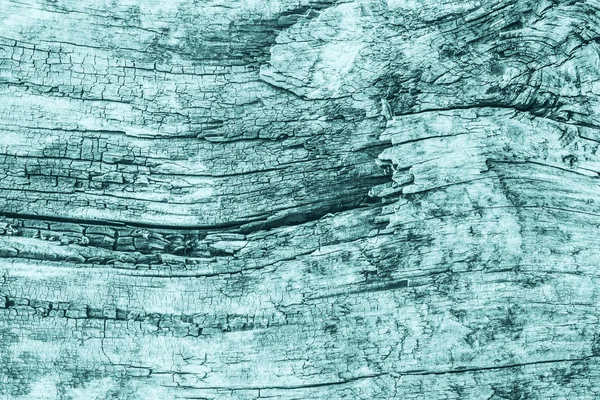 Old Weathered Cracked Rotten Wood Bleached and Stained Cyan Grunge Texture — Stock Photo, Image