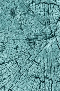 Eski ahşap baba lekeli mavi doku çürümüş kırık üst yüzey yıpranmış