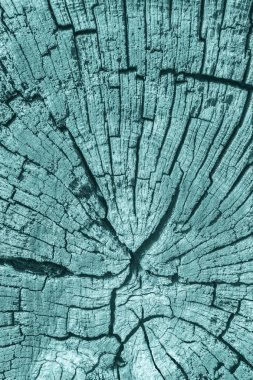 Eski ahşap baba lekeli mavi doku çürümüş kırık üst yüzey yıpranmış