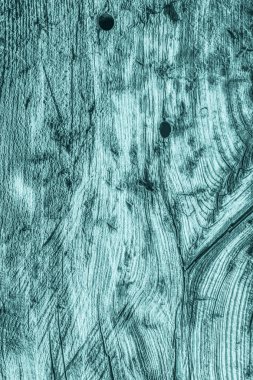 Eski yıpranmış kırık çürük ahşap ağartılmış ve camgöbeği Grunge doku lekeli