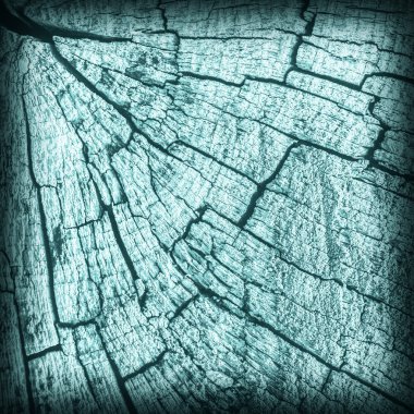 Eski yıpranmış kırık çürük ahşap ağartılmış ve camgöbeği Vignette Grunge doku lekeli