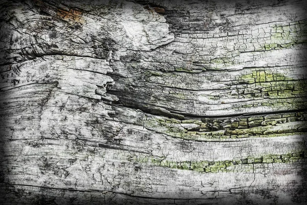 Alte quadratische Holz Poller verwittert morsch rissig bituminöse Vignette Grunge Oberflächenstruktur — Stockfoto