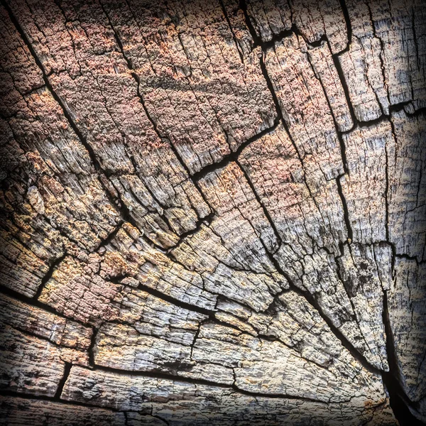 Antiguo cuadrado madera bolardo resistido podrido agrietado grunge bituminoso textura superficial —  Fotos de Stock