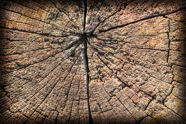 旧広場木材ボラード腐って風化割れたアスファルト グランジ テクスチャ — ストック写真