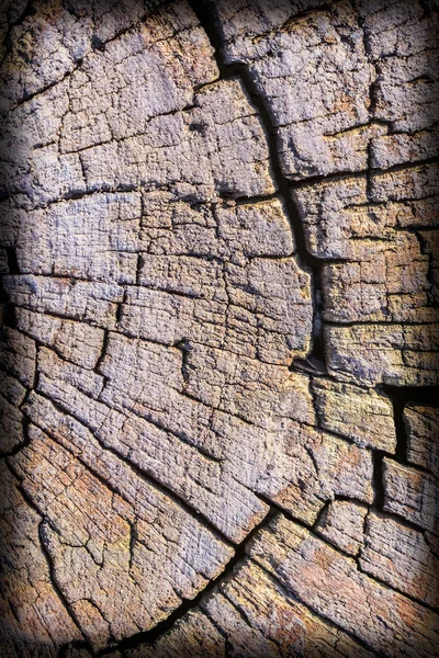 Velha madeira Bollard resistente podre rachado betuminoso superfície superior vinheta Grunge textura — Fotografia de Stock