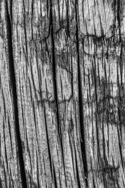 Ahşap ağartılmış ve lekeli gri doku dokuma eski yıpranmış