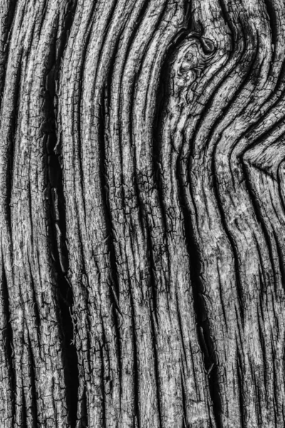 Старое обработанное тканью дерево отбеливается и приобретает серую текстуру — стоковое фото