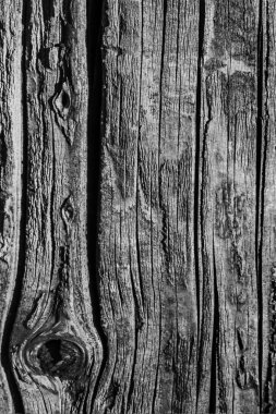 Eski yıpranmış ahşap ağartılmış ve gri doku lekeli