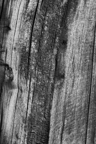 Old Weathered Wood Bleached and Stained Gray Grunge Texture — Stock Photo, Image