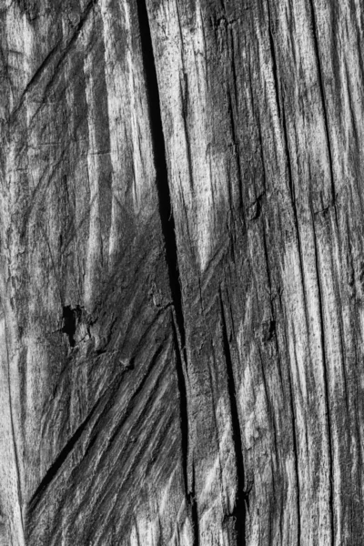 Gamla väderbitna trä blekta och missfärgade mörk grå Grunge konsistens — Stockfoto