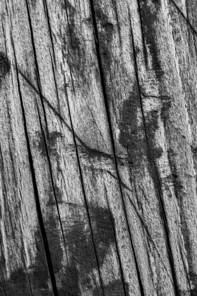 Old Weathered Wood Bleached and Stained Dark Gray Grunge Texture — Stock Photo, Image