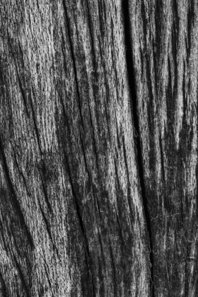 Old Weathered Wood Bleached and Stained Dark Gray Grunge Texture — Stock Photo, Image