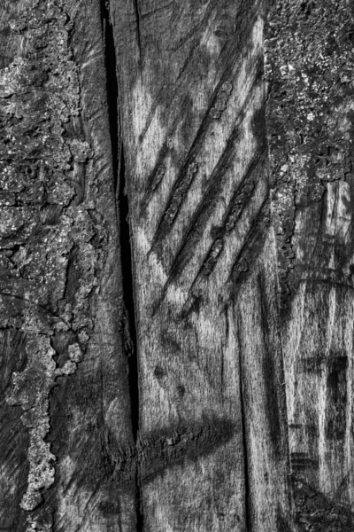 Velha madeira desgastada branqueada e manchada cinza escuro Grunge Textura — Fotografia de Stock