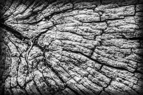 Vieja madera bolardo resistido podrido agrietado superficie superior manchado gris viñeta grunge textura — Foto de Stock