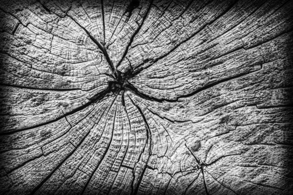 Old Timber Bollard Weathered Rotten Cracked Top Stained Gray Vignette Grunge Texture — стоковое фото