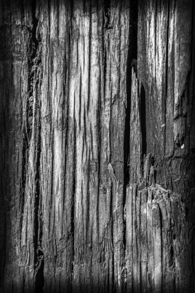 Old Weathered Wood Bleached and Stained Gray Vignette Grunge Texture — Stock Photo, Image