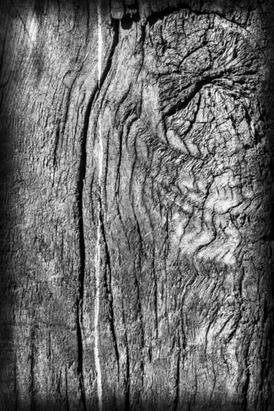 Gamla väderbitna trä blekta och missfärgade grå vinjetten Grunge konsistens — Stockfoto