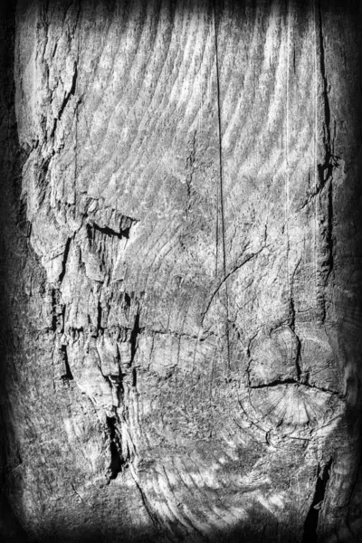Velha madeira desgastada branqueada e manchada cinza vinheta Grunge textura — Fotografia de Stock