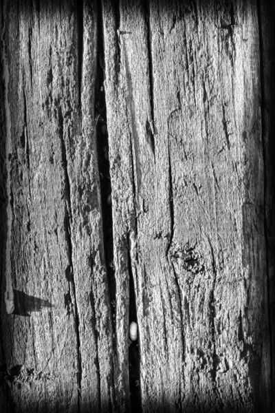 Stare drewno wyblakły wybielone i barwiony szary winieta Grunge tekstury — Zdjęcie stockowe