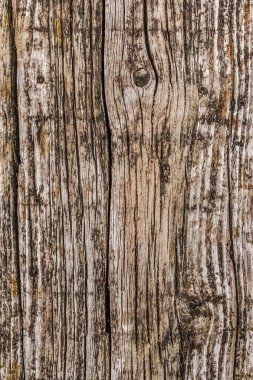 Yıpranmış eski çürümüş ahşap doku kırık