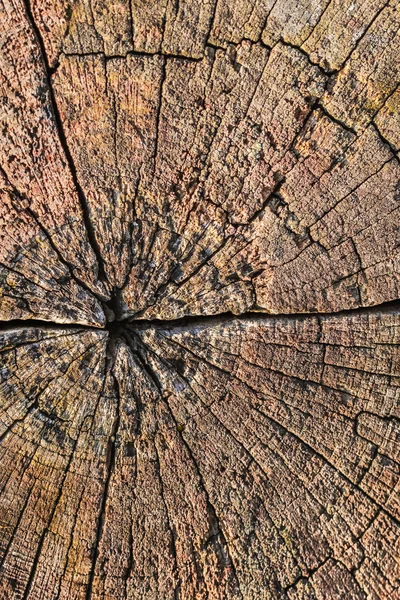 Старі погодні тріщини гнилого дерева текстури гранж — стокове фото