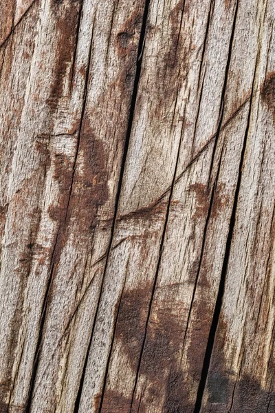 Old Wood Weathered Rotten Cracked Grunge Texture