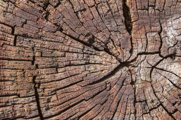 Ahşap yüzey doku çürümüş yıpranmış eski kırık