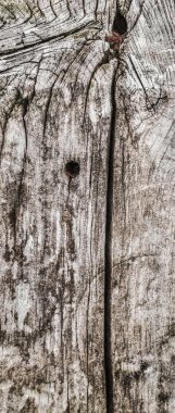 Ahşap yüzey doku çürümüş yıpranmış eski kırık