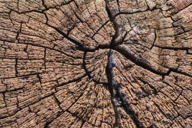 Ahşap yüzey doku çürümüş yıpranmış eski kırık