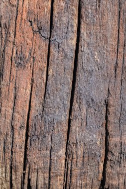 Ahşap yüzey doku çürümüş yıpranmış eski kırık