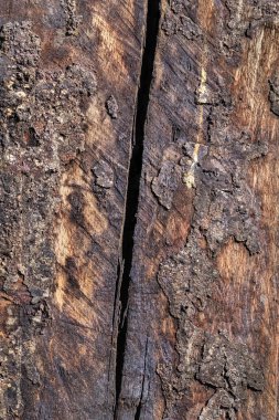 Ahşap yüzey doku çürümüş yıpranmış eski kırık