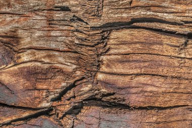 Ahşap yüzey doku çürümüş yıpranmış eski kırık