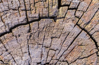 Bitümlü üst yüzey doku çürümüş yıpranmış eski ahşap baba kırık