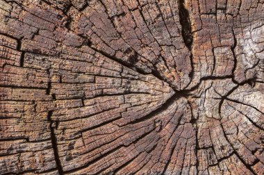 Bitümlü üst yüzey doku çürümüş yıpranmış eski ahşap baba kırık