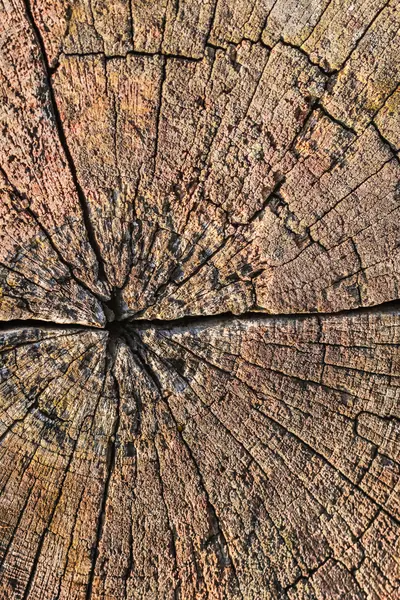 Старий Weathered Rotten Cracked Wood Grunge текстури поверхні — стокове фото