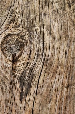 Ahşap yüzey doku çürümüş yıpranmış eski kırık