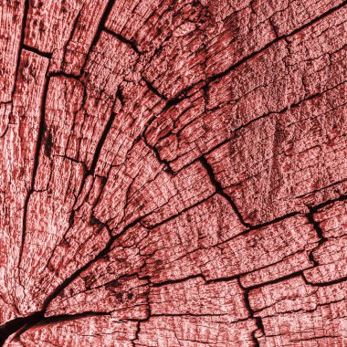 Eski ahşap baba çürük kırık üst yüzeyi kırmızı Grunge doku lekeli yıpranmış