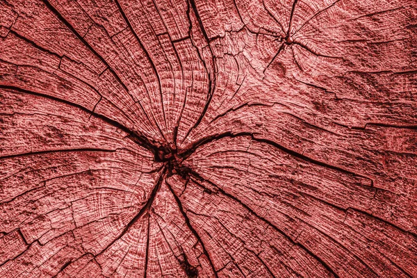 Old Timber Bollard Weathered Rotten Cracked Top Surface Stained Red Grunge Texture